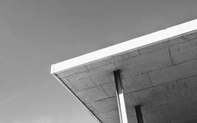 Join Umami Law’s Team: Trainee Lawyer
