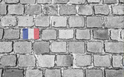 Multilingual Lawyers, Real Connections