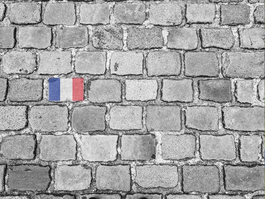 Multilingual Lawyers, Real Connections